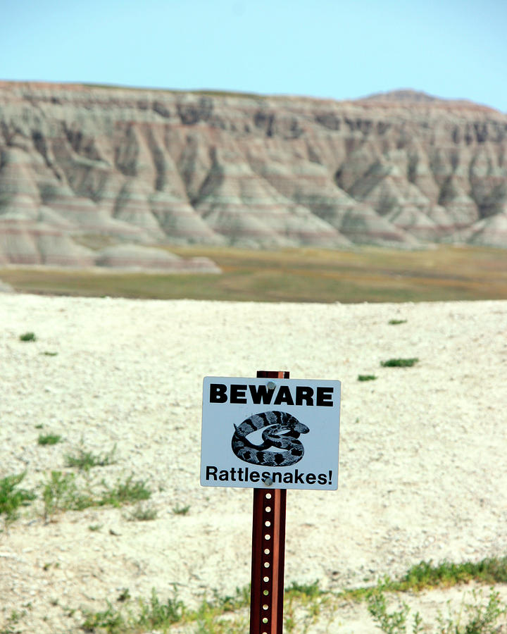 Sign Photograph - Beware Rattlesnakes by George Jones