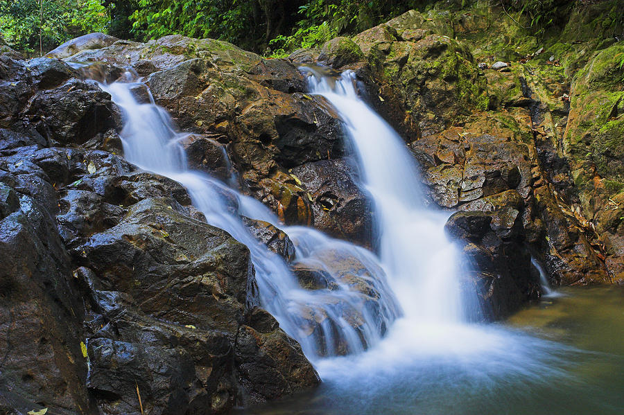 Bexon Waterfall in Color- St Lucia  Photograph by Chester Williams