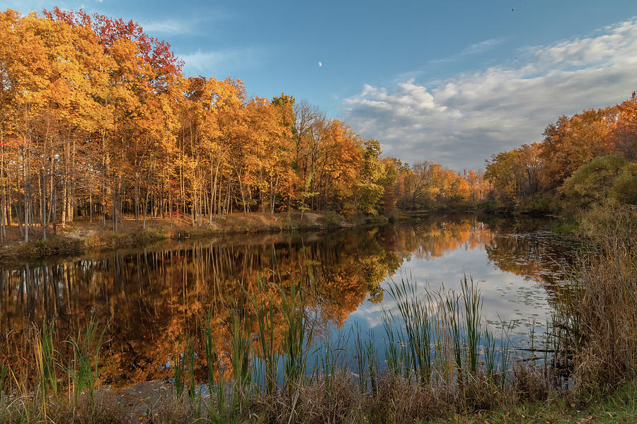 Beyers Pond in Autumn Photograph by Lon Dittrick