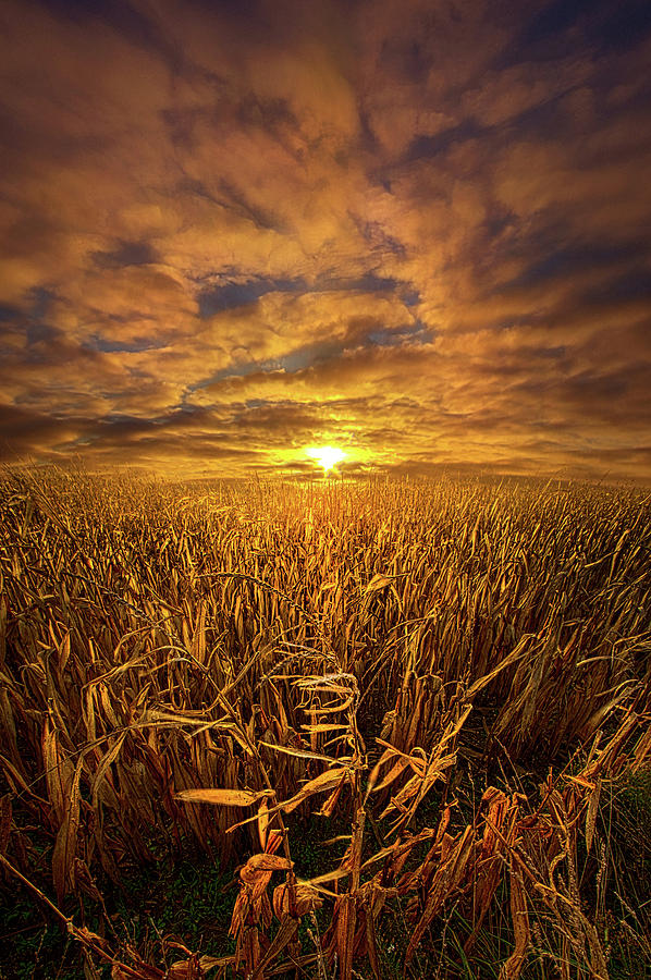 Beyond The Harvest Photograph by Phil Koch