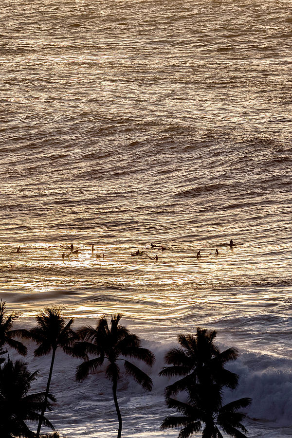 Surf Photograph - Beyond The Palms by Sean Davey
