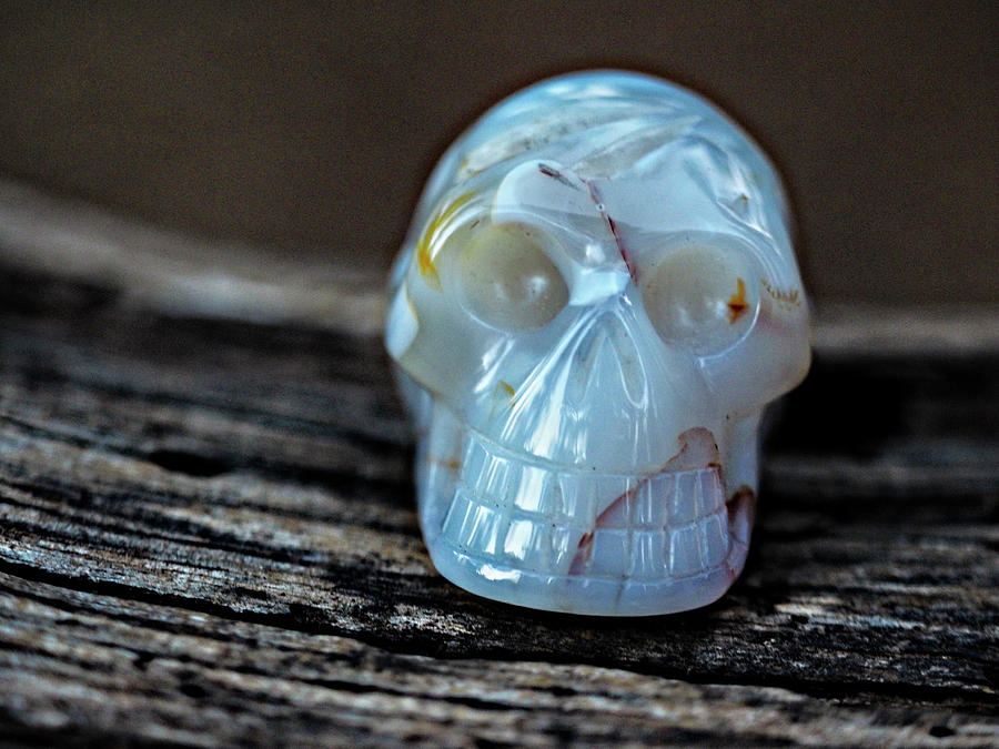 Bianca, The Merlinite Crystal Skull Photograph by Rebecca Dru