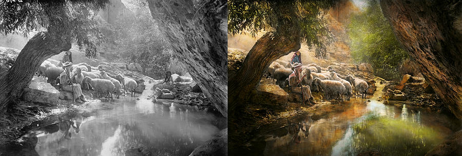 Bible - The Lord is my shepherd - 1910 Side by Side Photograph by Mike Savad