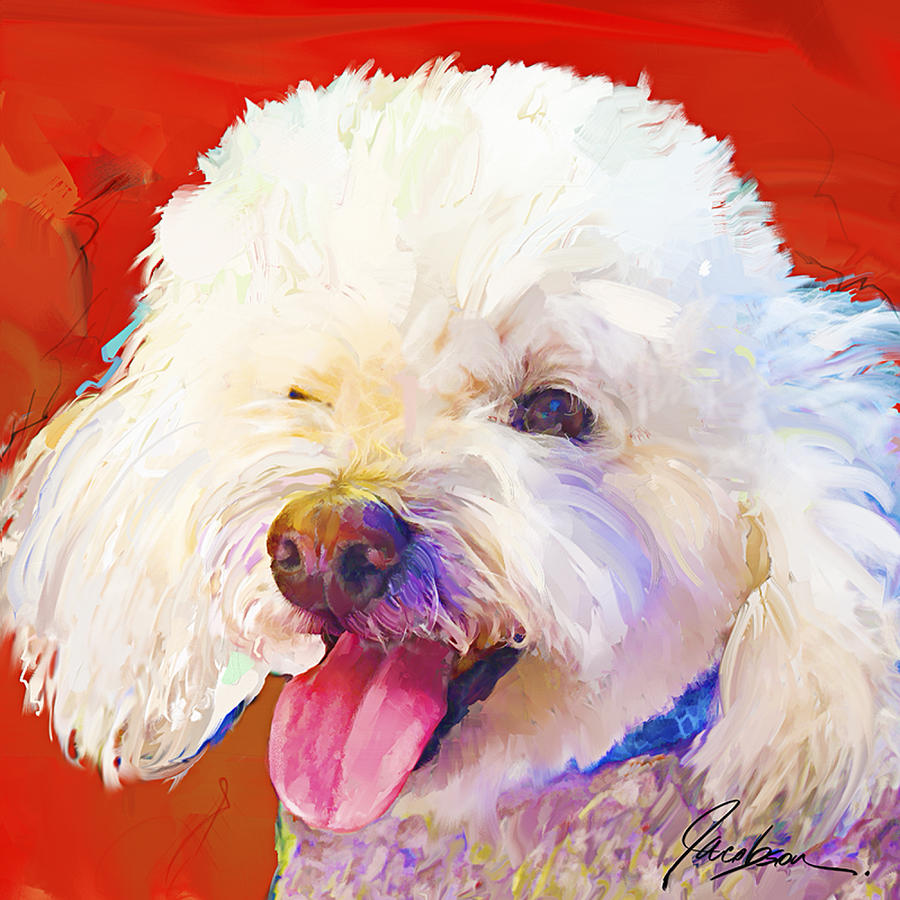 Bichon Frise 2 Painting by Jackie Medow-Jacobson - Fine Art America