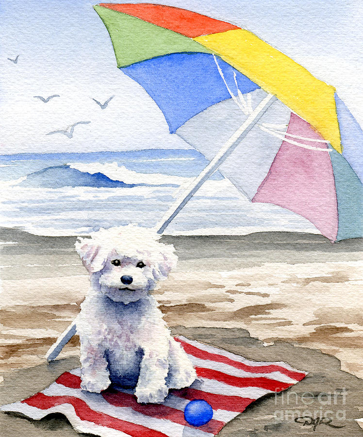 Bichon Painting - Bichon Frise At The Beach II by David Rogers