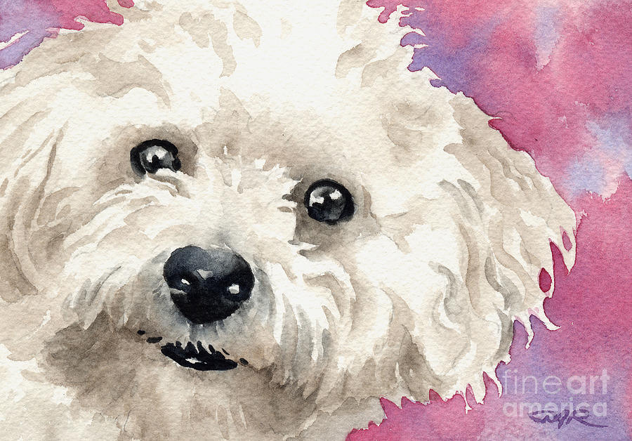 Dog Painting - Bichon Frise by David Rogers
