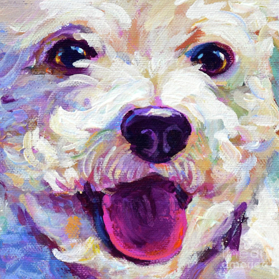 Poodle Painting - Bichon Frise Face by Robert Phelps