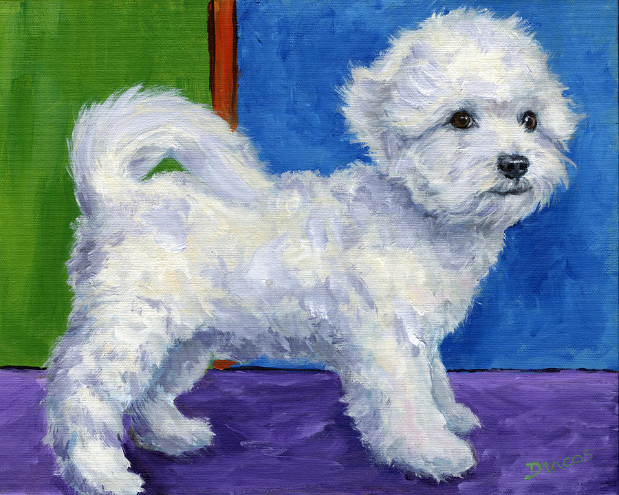 Dog Painting - Bichon Frise Standing Sideways by Dottie Dracos