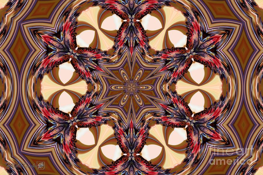Bicolor Acorn Kaleidoscope Digital Art by J McCombie
