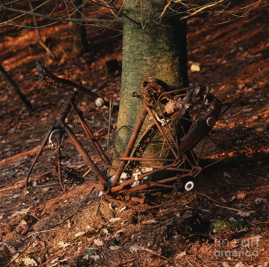 Nature Photograph - Bicycle abandoned in a forest by Bernard Jaubert