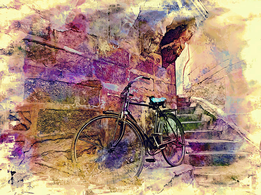Summer Photograph - Bicycle Abandoned in India Rajasthan Blue City 1a by Sue Jacobi