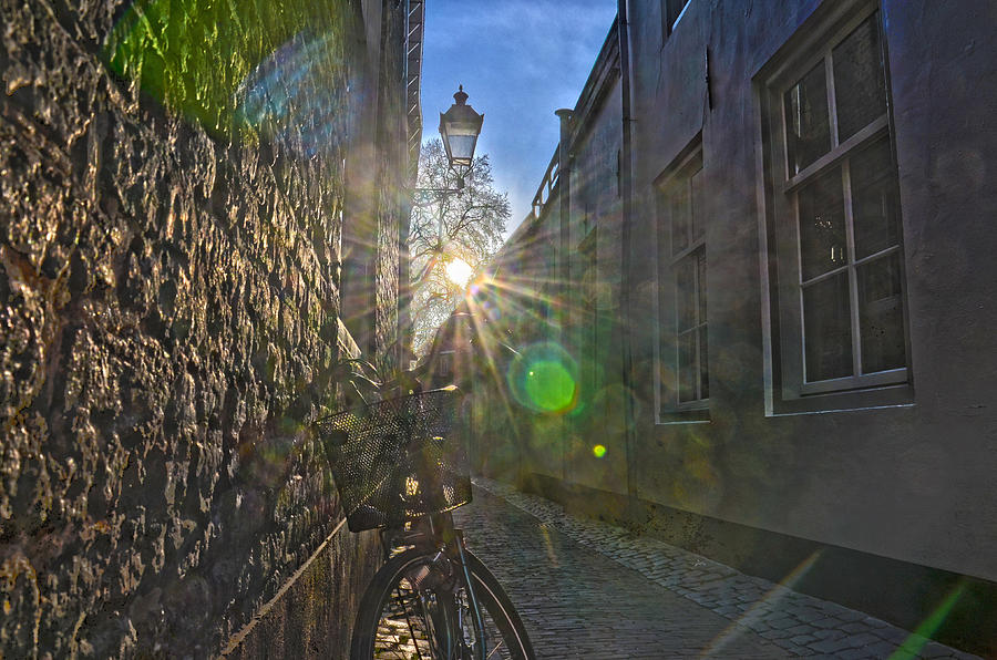 Bicycle Alley Photograph by Frans Blok