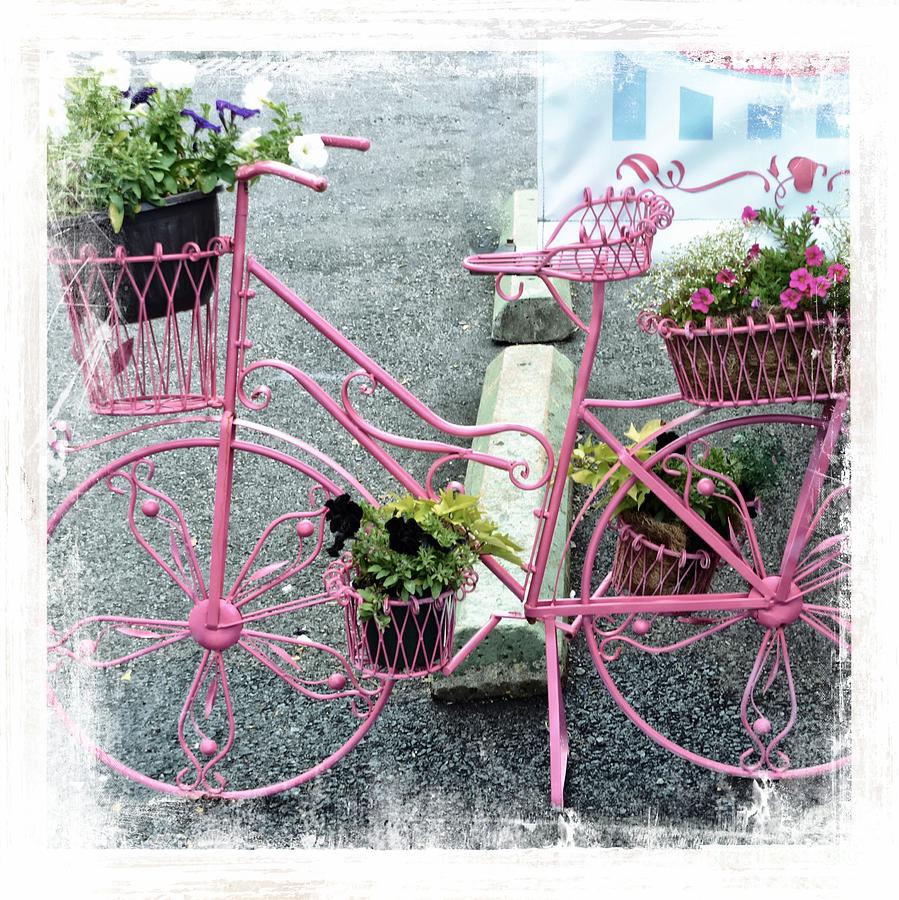 Bicycle And Flowers Photograph