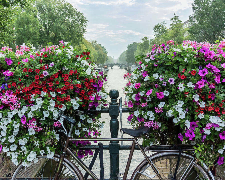Bicycle and Flowers Over Canal in Amsterdam Photograph by Kelly VanDellen