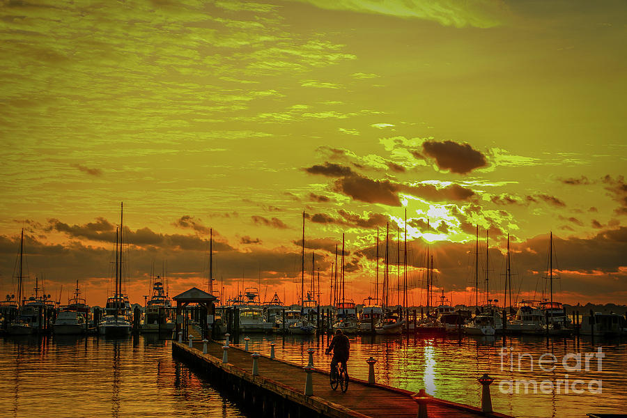 Bicycle and Marina Sunrise Photograph by Tom Claud
