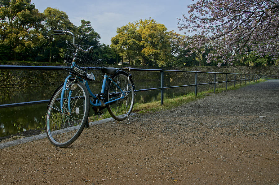Tree Photograph - Bicycle and Tokyo Imperial Palace by Brian Kamprath