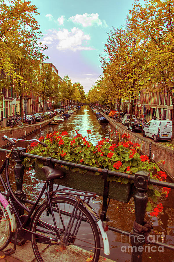 Amsterdam Bicycle Photograph