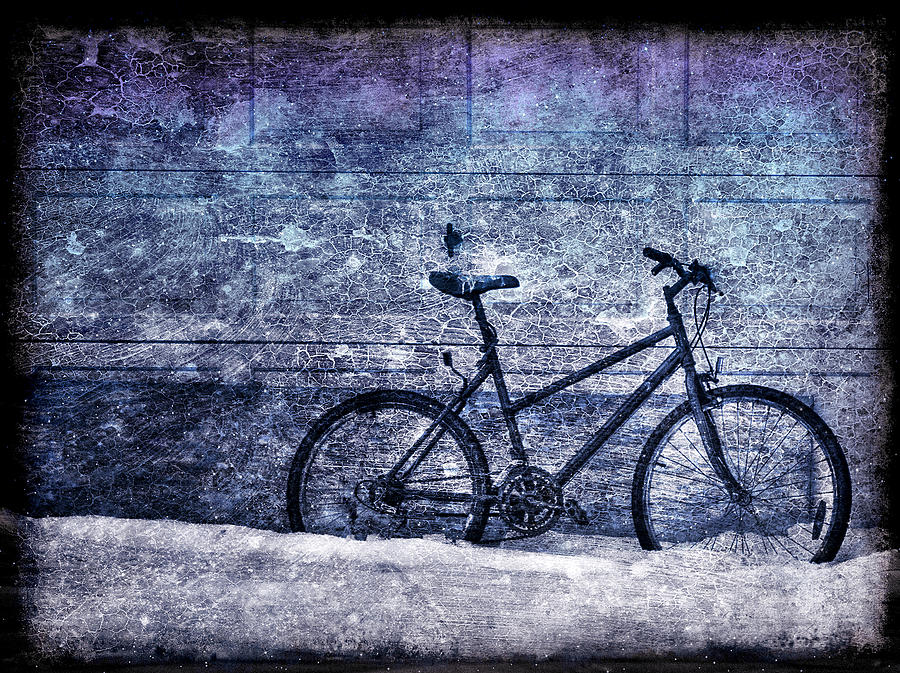Vintage Photograph - Bicycle by Evelina Kremsdorf