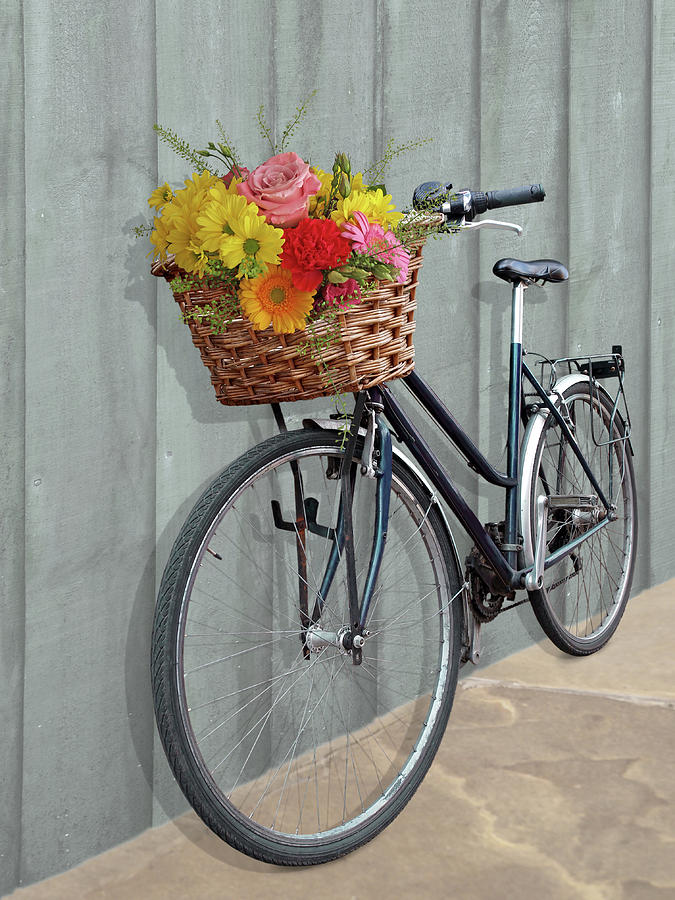 Bicycle Flower Basket Photograph by Gill Billington