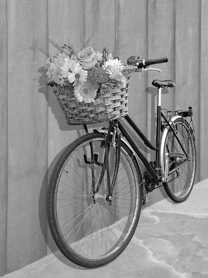 Black And White Photograph - Bicycle Flower Basket Mono by Gill Billington