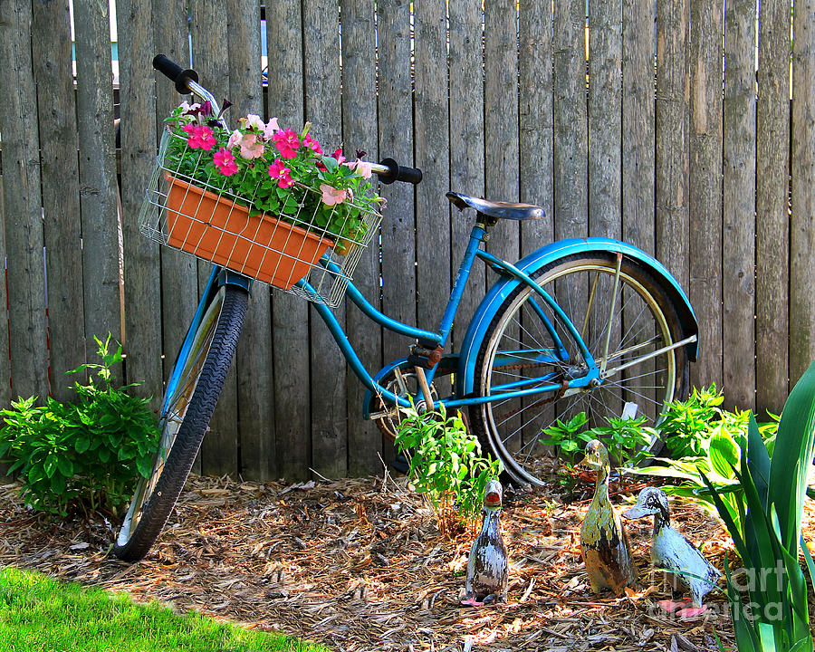 Bicycle Garden Photograph by Perry Webster