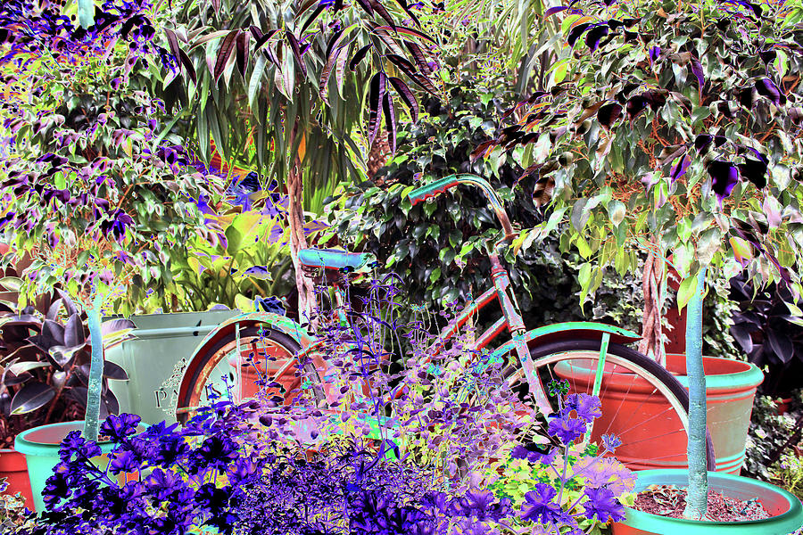Bicycle in High Color Photograph by Creative Solutions RipdNTorn