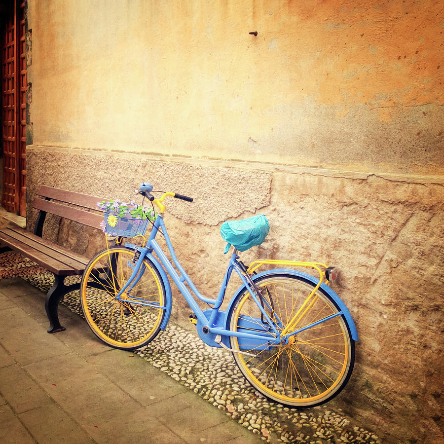 Bicycle in Italy Photograph by Catherine Reading