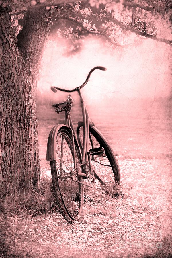 Flower Photograph - Bicycle in Pink by Sophie Vigneault