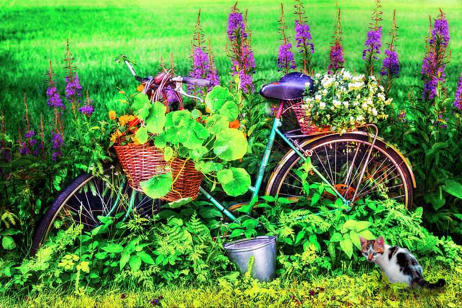 Bicycle in the Flower Garden Photograph by Debra and Dave Vanderlaan