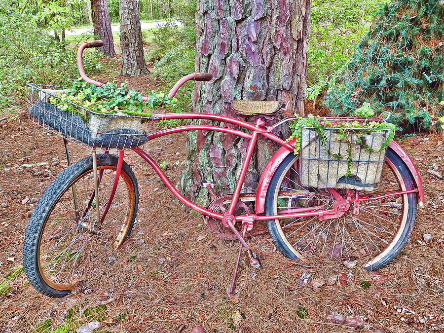 Bicycle in the garden 2 Painting by Jeelan Clark