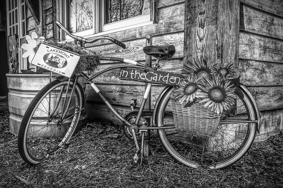 Bicycle in the Garden Art in Black and White Photograph by Debra and Dave Vanderlaan