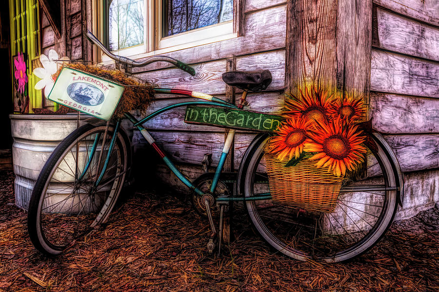 Bicycle in the Garden Art in Vibrant Colors and Sunflowers Photograph by Debra and Dave Vanderlaan
