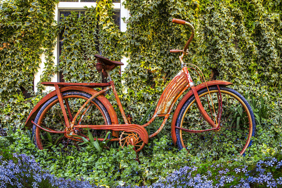 Bicycle in the Garden Photograph by Debra and Dave Vanderlaan