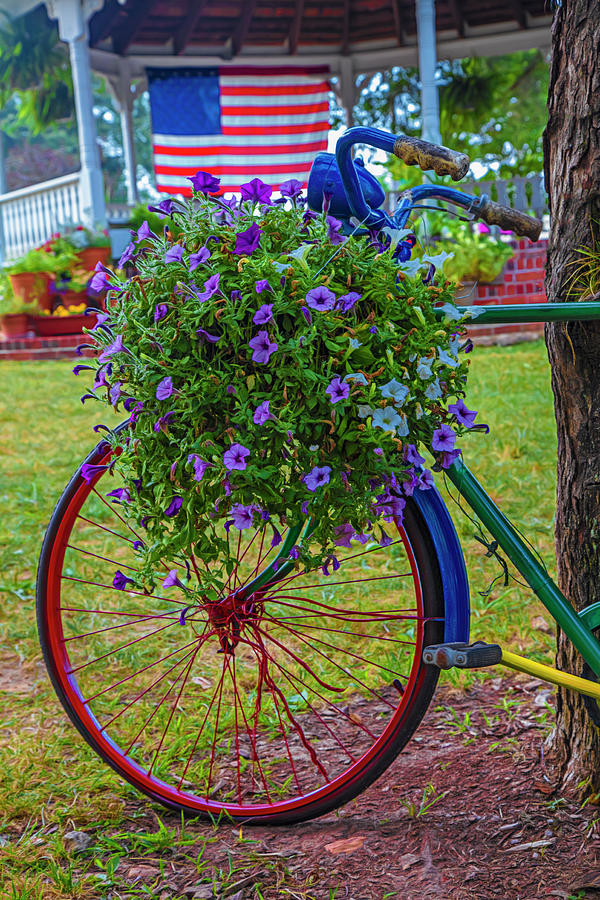 Bicycle in the Park Art Painterly Photograph by Debra and Dave Vanderlaan