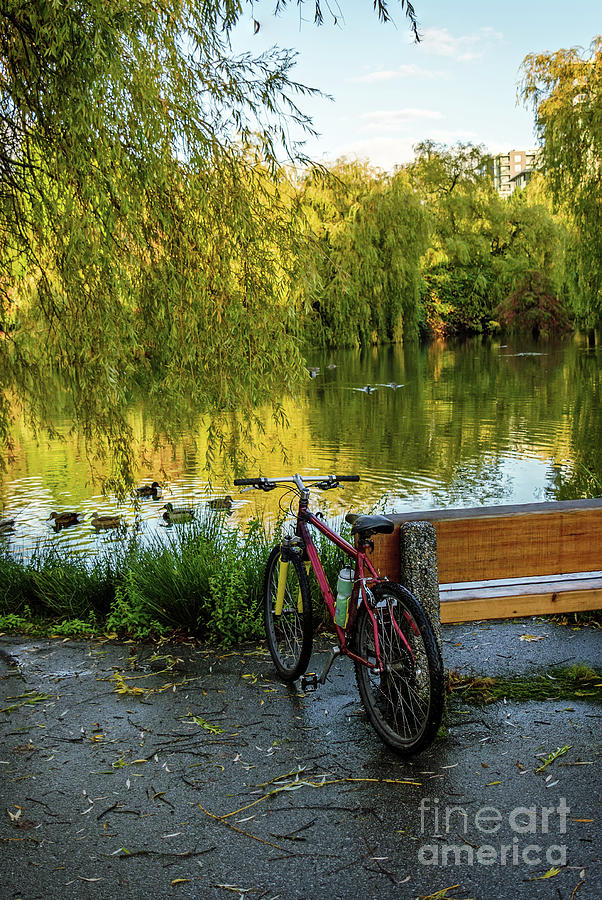 Bicycle In The Park By The Lake Photograph