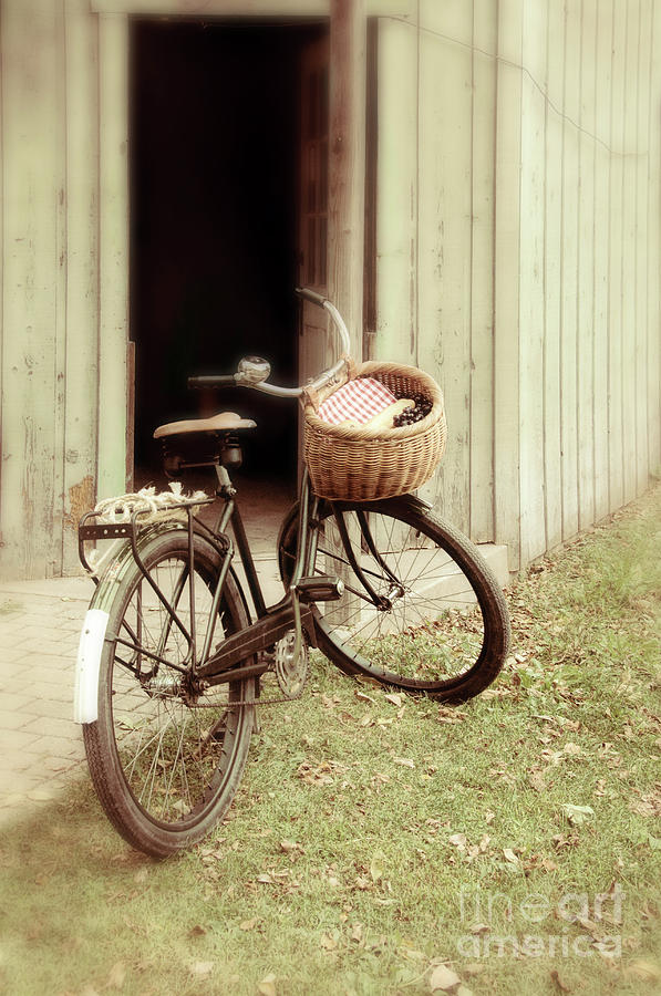 Bicycle Photograph by Jill Battaglia