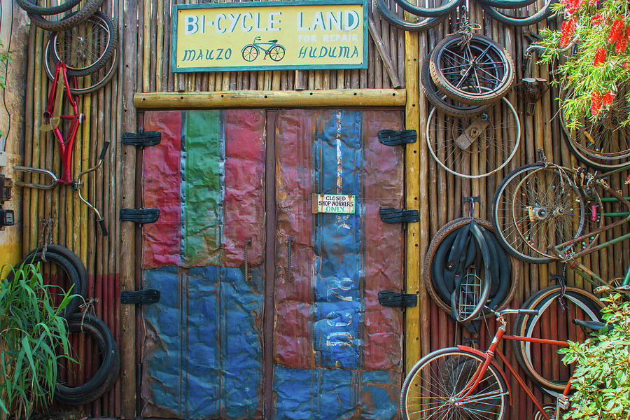 Bicycle land Photograph by Pamela Williams