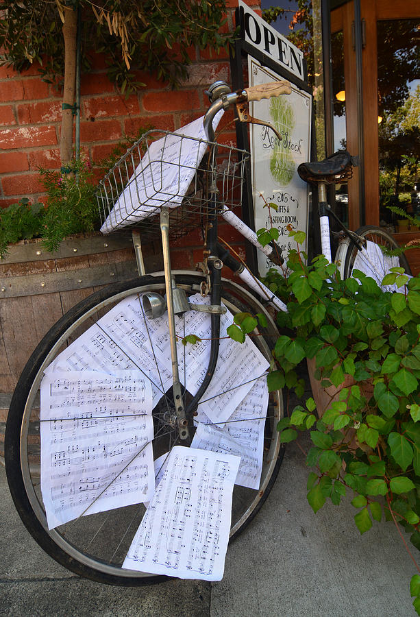 Bicycle Music Photograph by Josephine Buschman