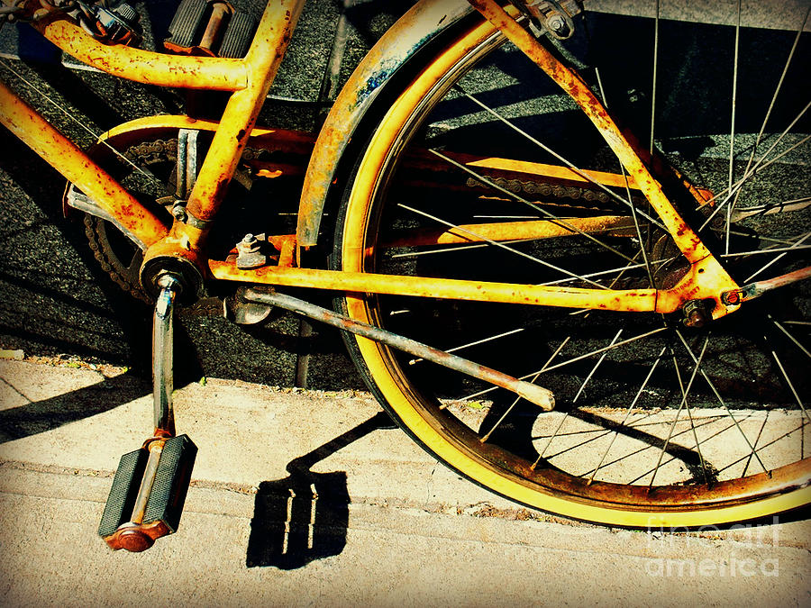 Still Life Photograph - Bicycle Nostalgia by Miriam Danar