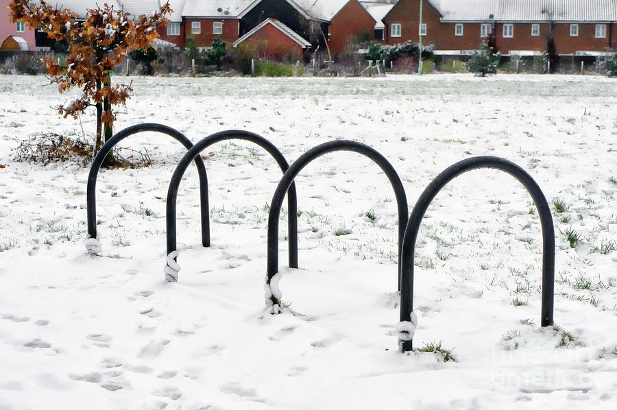 Bicycle parking racks Photograph by Tom Gowanlock