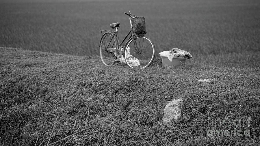 Bicycle Rice Fields BW Photograph by Chuck Kuhn