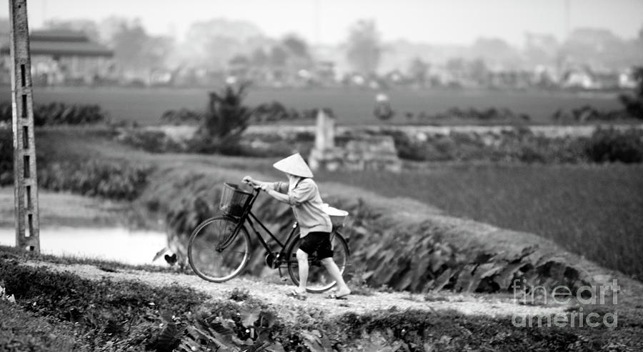 Bicycle Senior Vietnamese Woman bw Photograph by Chuck Kuhn