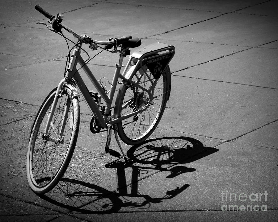 Bicycle Shadow Photograph by Perry Webster