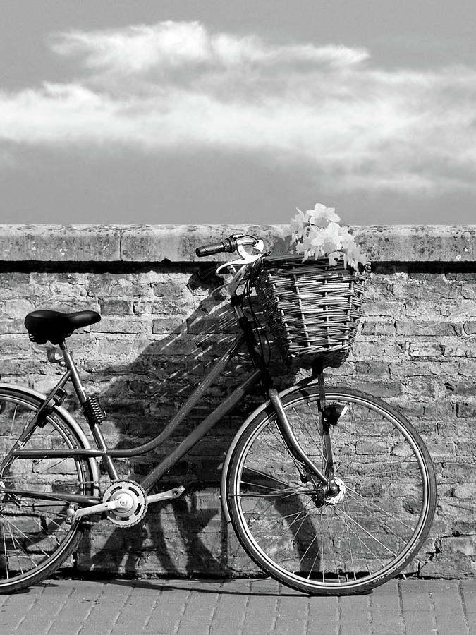 Bicycle Shadows and Sunshine Mono Photograph by Gill Billington