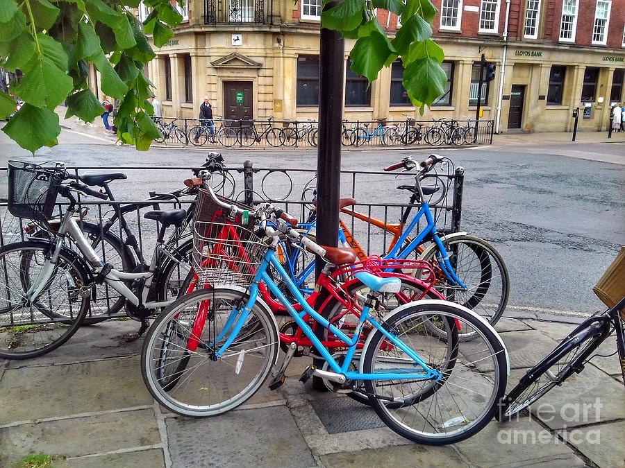 Bicycle Shambles in York Photograph by Joan-Violet Stretch