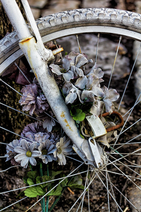 Bicycle Still Life Photograph by Robert Ullmann