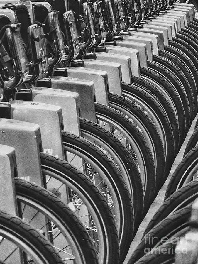 Bicycle Tires  Photograph by Diana Rajala