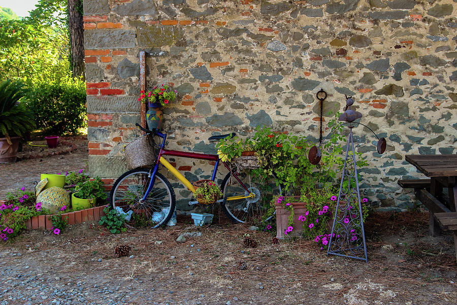 Bicycle, Tuscan Backyard Photograph by Aashish Vaidya