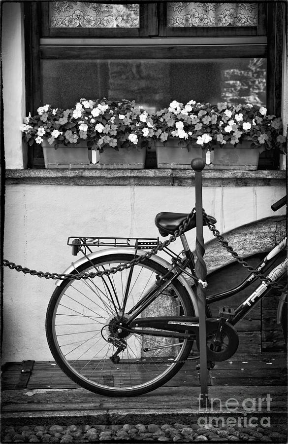 Black And White Photograph - Bicycle with flowers by Silvia Ganora