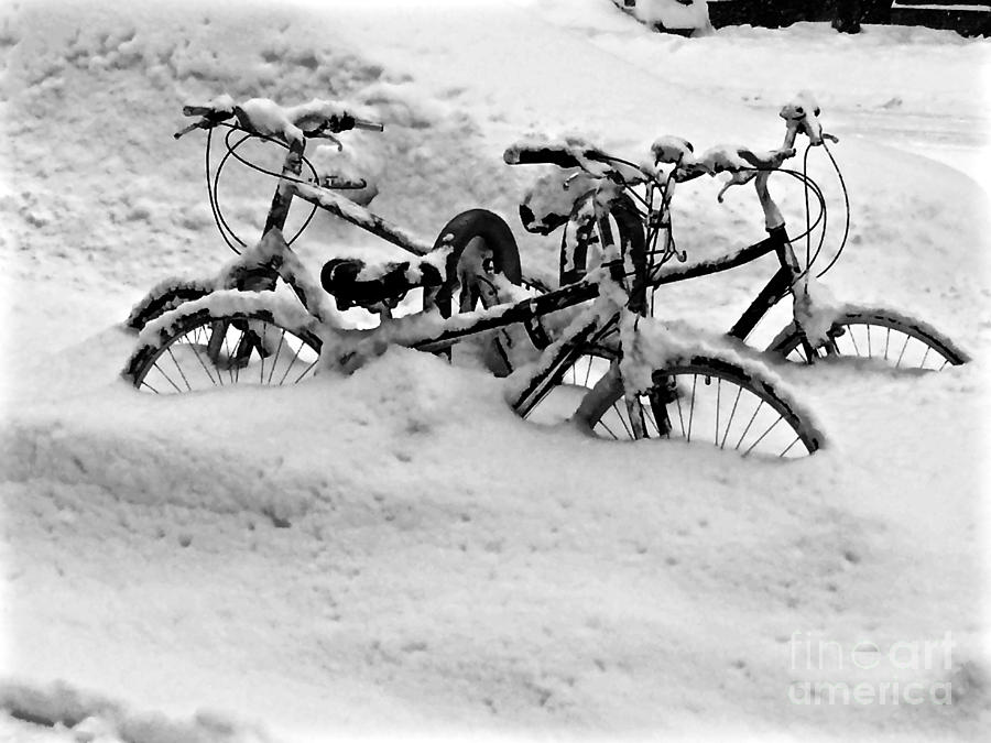 Bicycles Driftin Photograph by Debra Banks